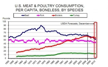 Bài tập IELTS Writing Task 1 Line Chart - Meat and poultry consumption (Gap Fill)