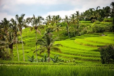 Bài tập IELTS Reading Agricultural and Tourism