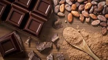Bài tập IELTS Reading - The Cacao: A Sweet History