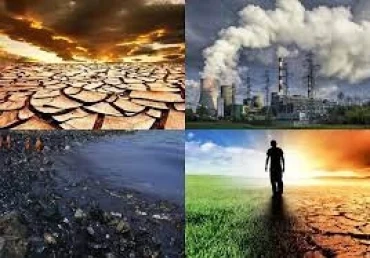 Bài mẫu Writing task 2 - Chủ đề: Environmental problem