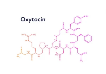 Phân tích từ vựng bài đọc IELTS Reading -  Oxytocin