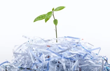 Bài tập IELTS Reading: Paper Recycling - Phân tích từ vựng