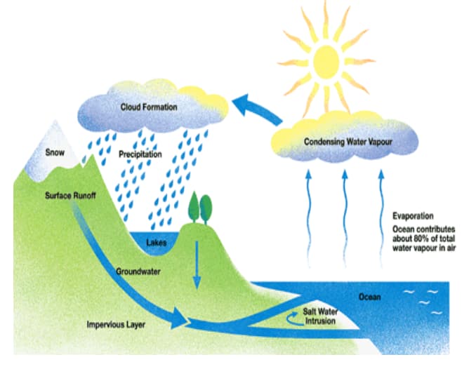 water cycle essay questions